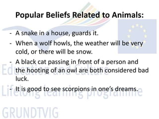 Popular Beliefs Related to Animals:
- A snake in a house, guards it.
- When a wolf howls, the weather will be very
  cold, or there will be snow.
- A black cat passing in front of a person and
  the hooting of an owl are both considered bad
  luck.
- It is good to see scorpions in one’s dreams.
 