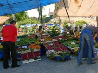 Scenes from Turkiye