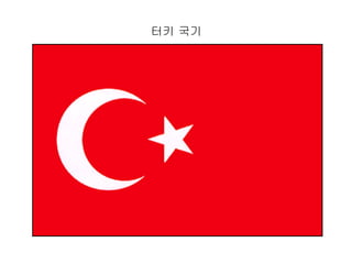 터키 국기 