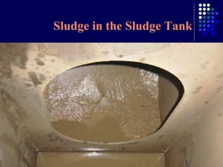 Sludge in the Sludge Tank

 