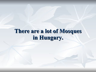 There are a lot of Mosques in Hungary. 