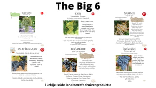 The Big 6
Turkije is 6de land betreft druivenproductie
 