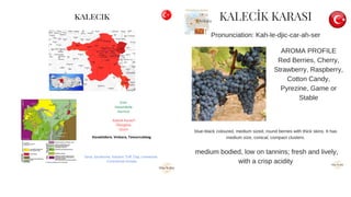 Turkse wijn (5).pdf
