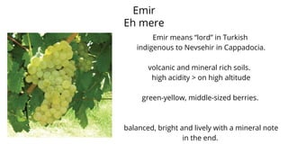Emir
Eh mere
Emir means “lord” in Turkish
indigenous to Nevsehir in Cappadocia.
volcanic and mineral rich soils.
high acidity > on high altitude
green-yellow, middle-sized berries.
balanced, bright and lively with a mineral note
in the end.
 
