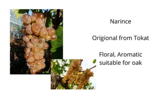 Narince
Origional from Tokat
Floral, Aromatic
suitable for oak
 