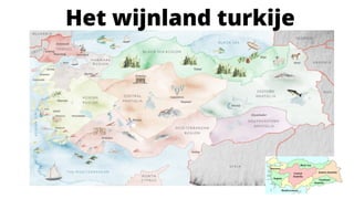 Het wijnland turkije
 
