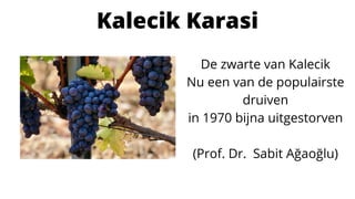Kalecik Karasi
De zwarte van Kalecik
Nu een van de populairste
druiven
in 1970 bijna uitgestorven
(Prof. Dr. Sabit Ağaoğlu)
 