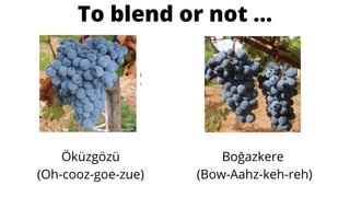 To blend or not ...
Boğazkere
(Bow-Aahz-keh-reh)
Öküzgözü
(Oh-cooz-goe-zue)
 