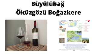 Büyülübağ
Öküzgözü Boğazkere
 
