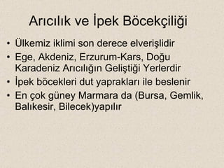 Arıcılık ve İpek Böcekçiliği  Ülkemiz iklimi son derece elverişlidir Ege, Akdeniz, Erzurum-Kars, Doğu Karadeniz Arıcılığın Geliştiği Yerlerdir İpek böcekleri dut yaprakları ile beslenir En çok güney Marmara da (Bursa, Gemlik, Balıkesir, Bilecek)yapılır 