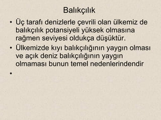 Balıkçılık   Üç tarafı denizlerle çevrili olan ülkemiz de balıkçılık potansiyeli yüksek olmasına rağmen seviyesi oldukça düşüktür. Ülkemizde kıyı balıkçılığının yaygın olması ve açık deniz balıkçılığının yaygın olmaması bunun temel nedenlerindendir 