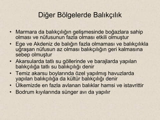 Diğer Bölgelerde Balıkçılık Marmara da balıkçılığın gelişmesinde boğazlara sahip olması ve nüfusunun fazla olması etkili olmuştur Ege ve Akdeniz de balığın fazla olmaması ve balıkçılıkla uğraşan nüfusun az olması balıkçılığın geri kalmasına sebep olmuştur Akarsularda tatlı su göllerinde ve barajlarda yapılan balıkçılığa tatlı su balıkçılığı denir Temiz akarsu boylarında özel yapılmış havuzlarda yapılan balıkçılığa da kültür balıkçılığı denir Ülkemizde en fazla avlanan balıklar hamsi ve istavrittir Bodrum kıyılarında sünger avı da yapılır 