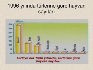 1996 yılında türlerine göre hayvan sayıları 