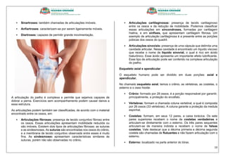 19
 Sinartroses: também chamadas de articulações imóveis.
 Anfiartroses: caracterizam-se por serem ligeiramente móveis.
 Diartroses: capazes de permitir grande movimentação.
A articulação do joelho é complexa e permite que sejamos capazes de
dobrar a perna. Exercícios sem acompanhamento podem causar danos a
essa estrutura.
As articulações podem também ser classificadas, de acordo com o material
encontrado entre os ossos, em:
 Articulações fibrosas: presença de tecido conjuntivo fibroso entre
os ossos. Essas articulações apresentam mobilidade reduzida ou
são imóveis. Existem dois tipos de articulações fibrosas: as suturas
e as sindesmoses. As suturas são encontradas nos ossos do crânio,
e a membrana de tecido conjuntivo observada entre esses é muito
fina. As sindesmoses apresentam características similares às
suturas, porém não são observadas no crânio.
 Articulações cartilaginosas: presença de tecido cartilaginoso
entre os ossos e da redução de mobilidade. Podemos classificar
essas articulações em sincondroses, formadas por cartilagem
hialina, e em sínfises, que apresentam cartilagem fibrosa. Um
exemplo de articulação cartilaginosa é a presente entre as porções
púbicas dos ossos do quadril.
 Articulações sinoviais: presença de uma cápsula que delimita uma
cavidade articular. Nessa cavidade é encontrado um líquido viscoso
que recebe o nome de líquido sinovial, o qual é rico em ácido
hialurônico. Esse ácido apresenta um importante efeito lubrificante.
Esse tipo de articulação pode ser conferido na complexa articulação
do joelho.
Esqueleto axial e apendicular
O esqueleto humano pode ser dividido em duas porções: axial e
apendicular.
No chamado esqueleto axial, temos o crânio, as vértebras, as costelas, o
esterno e o osso hioide:
 Crânio: formado por 28 ossos, é a porção responsável por garantir,
principalmente, a proteção do encéfalo.
 Vértebras: formam a chamada coluna vertebral, a qual é composta
por 26 ossos (33 vértebras). A coluna garante a proteção da medula
espinhal.
 Costelas: formam, em seus 12 pares, a caixa torácica. Os sete
pares superiores recebem o nome de costelas verdadeiras e
articulam-se diretamente com o esterno. Os três pares sequentes
articulam-se de maneira indireta e recebem o nome de falsas
costelas. Vale destacar que a décima primeira e décima segunda
costela são chamadas de flutuantes e não fazem articulação com o
esterno.
 Esterno: localizado na parte anterior do tórax.
 