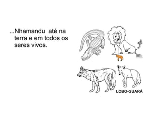 ...Nhamandu até na
   terra e em todos os
   seres vivos.
 