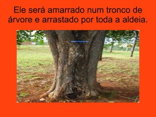 Ele será amarrado num tronco de
árvore e arrastado por toda a aldeia.
 
