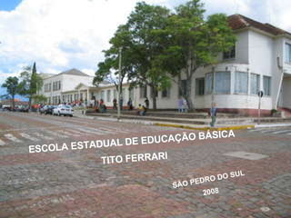 ESCOLA ESTADUAL DE EDUCAÇÃO BÁSICA  TITO FERRARI SÃO PEDRO DO SUL 2008 