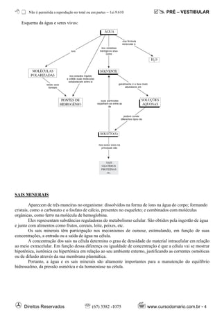 Não é permitida a reprodução no total ou em partes – ℓei 9.610               PRÉ – VESTIBULAR

   Esquema da água e seres vivos:




SAIS MINERAIS

        Aparecem de três maneiras no organismo: dissolvidos na forma de íons na água do corpo; formando
cristais, como o carbonato e o fosfato de cálcio, presentes no esqueleto; e combinados com moléculas
orgânicas, como ferro na molécula de hemoglobina.
        Eles representam substâncias reguladoras do metabolismo celular. São obtidos pela ingestão de água
e junto com alimentos como frutos, cereais, leite, peixes, etc.
        Os sais minerais têm participação nos mecanismos de osmose, estimulando, em função de suas
concentrações, a entrada ou a saída de água na célula.
        A concentração dos sais na célula determina o grau de densidade do material intracelular em relação
ao meio extracelular. Em função dessa diferença ou igualdade de concentração é que a célula vai se mostrar
hipotônica, isotônica ou hipertônica em relação ao seu ambiente externo, justificando as correntes osmóticas
ou de difusão através da sua membrana plasmática.
        Portanto, a água e os sais minerais são altamente importantes para a manutenção do equilíbrio
hidrossalino, da pressão osmótica e da homeostase na célula.




     Direitos Reservados                   ℡ (67) 3382 -1075             www.cursodomario.com.br - 4
 
