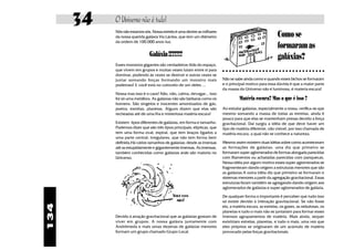34   O Universo não é tudo!
           Nós não estamos sós. Nossa estrela é uma dentre as milhares
           da nossa querida galáxia Via Láctea, que tem um diâmetro                                       Como se
           da ordem de 100.000 anos-luz.
                                                                                                          formaram as
                              Galáxia !!?!?!?                                                             galáxias?
           Esses monstros gigantes são verdadeiros titãs do espaço,
           que vivem em grupos e muitas vezes lutam entre si para        ○ ○ ○ ○ ○ ○ ○ ○ ○ ○ ○ ○ ○ ○ ○ ○ ○ ○ ○ ○ ○ ○ ○ ○ ○ ○ ○ ○ ○ ○ ○
           dominar, podendo às vezes se destruir e outras vezes se
           juntar somando forças formando um monstro mais                Não se sabe ainda como e quando esses bichos se formaram
           poderoso! E você está no cotovelo de um deles ...             e o principal motivo para essa dúvida é que a maior parte
                                                                         da massa do Universo não é luminosa, é materia escura!
           Nossa mas isso é o caos! Não, não, calma, devagar... isso
           foi só uma metáfora. As galáxias não são bárbaras como os               Matéria escura? Mas o que é isso ?
           homens. São singelos e inocentes amontoados de gás,
           poeira, estrelas, planetas. Alguns dizem que elas são         Ao estudar galáxias, especialmente a nossa, verifica-se que
           recheadas até de uma fria e misteriosa matéria escura!        mesmo somando a massa de todas as estrelas, ainda é
                                                                         pouco para que elas se mantenham presas devido a força
           Existem tipos diferentes de galáxias, em forma e tamanho.     gravitacional. Daí surgiu a idéia de que deve haver um
           Podemos dizer que são três tipos principais: elípticas, que   tipo de matéria diferente, não visível, por isso chamada de
           tem uma forma oval; espiral, que tem braços ligados a         matéria escura, a qual não se conhece a natureza.
           uma parte central; irregulares, que não tem forma bem
           definida.Há vários tamanhos de galáxias: desde as imensas     Mesmo assim existem duas idéias sobre como aconteceram
           até as estupidamente e gigantemente imensas. As imensas,      as formações de galáxias: uma diz que primeiro se
           também conhecidas como galáxias anãs são maioria no           formaram super aglomerados de formas alongada parecidas
           Universo.                                                     com filamentos ou achatadas parecidas com panquecas.
                                                                         Nessa idéia por algum motivo esses super aglomerados se
                                                                         fragmenteram dando origem a estruturas menores que são
                                                                         as galáxias.A outra idéia diz que primeiro se formaram e
                                                                         sistemas menores a partir da agregação gravitacional. Essas
                                                                         estruturas foram também se agregando dando origem aos
                                                                         aglomerados de galáxias e super aglomerados de galáxia.
                                            VOCÊ ESTÁ                    De qualquer forma o importante é perceber que tudo isso
                                              AQUI!                      só existe devido à interação gravitacional. Se não fosse
134




                                                                         ela, a matéria escura, as estrelas, os gases, as nebulosas, os
                                                                         planetas e tudo o mais não se juntariam para formar esses
           Devido à atração gravitacional que as galáxias gostam de      imensos agrupamentos de matéria. Mais ainda, sequer
           viver em grupos. A nossa galáxia juntamente com               existiriam estrelas, planetas, e tudo o mais, uma vez que
           Andrômeda e mais umas dezenas de galáxias menores             eles próprios se originaram de um acúmulo de matéria
           formam um grupo chamado Grupo Local.                          provocado pelas forças gravitacionais.
 