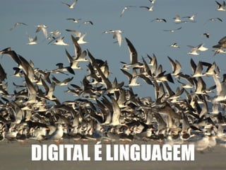 DIGITAL É LINGUAGEM 
 