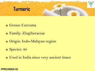 Genus: Curcuma
Family: Zingiberaceae
Origin: Indo-Malayan region
Species: 40
Used in India since very ancient times
Turmeric
PPRC/INDIA 02
 