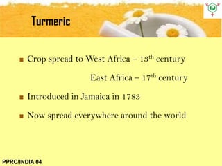 Turmeric
PPRC/INDIA 04
Crop spread to West Africa – 13th century
East Africa – 17th century
Introduced in Jamaica in 1783
Now spread everywhere around the world
 