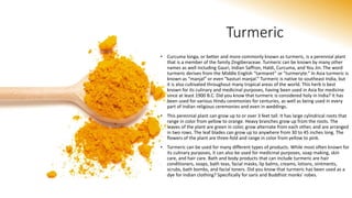 Turmeric
• Curcuma longa, or better and more commonly known as turmeric, is a perennial plant
that is a member of the family Zingiberaceae. Turmeric can be known by many other
names as well including Gauri, Indian Saffron, Haldi, Curcuma, and You Jin. The word
turmeric derives from the Middle English “tarmaret” or “turmeryte.” In Asia turmeric is
known as “manjal” or even “kasturi manjal.” Turmeric is native to southeast India, but
it is also cultivated throughout many tropical areas of the world. This herb is best
known for its culinary and medicinal purposes, having been used in Asia for medicine
since at least 1900 B.C. Did you know that turmeric is considered holy in India? It has
been used for various Hindu ceremonies for centuries, as well as being used in every
part of Indian religious ceremonies and even in weddings.
• This perennial plant can grow up to or over 3 feet tall. It has large cylindrical roots that
range in color from yellow to orange. Heavy branches grow up from the roots. The
leaves of the plant are green in color, grow alternate from each other, and are arranged
in two rows. The leaf blades can grow up to anywhere from 30 to 45 inches long. The
flowers of the plant are three-fold and range in color from yellow to pink.
• Turmeric can be used for many different types of products. While most often known for
its culinary purposes, it can also be used for medicinal purposes, soap making, skin
care, and hair care. Bath and body products that can include turmeric are hair
conditioners, soaps, bath teas, facial masks, lip balms, creams, lotions, ointments,
scrubs, bath bombs, and facial toners. Did you know that turmeric has been used as a
dye for Indian clothing? Specifically for saris and Buddhist monks’ robes.
 
