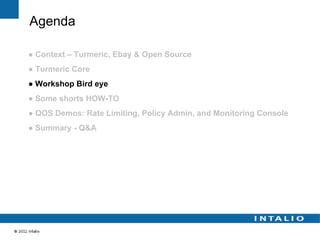 Agenda

● Context – Turmeric, Ebay & Open Source
● Turmeric Core
● Workshop Bird eye
● Some shorts HOW-TO
● QOS Demos: Rate Limiting, Policy Admin, and Monitoring Console
● Summary - Q&A
 