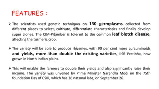 The scientists used genetic techniques on 130 germplasms collected from
different places to select, cultivate, differentiate characteristics and finally develop
super clones. The CIM-Pitamber is tolerant to the common leaf blotch disease,
affecting the turmeric crop.
The variety will be able to produce rhizomes, with 90 per cent more curcuminoids
and yields, more than double the existing varieties, IISR Pratibha, now
grown in North Indian plains.
This will enable the farmers to double their yields and also significantly raise their
income. The variety was unveiled by Prime Minister Narendra Modi on the 75th
foundation Day of CSIR, which has 38 national labs, on September 26.
FEATURES :
 