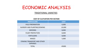 ECONOMIC ANALYSIS
TRADITIONAL VARIETIES
PARTICULARS COST
FIELD PREPARATION 6,000
NURSERY AND PLANTING/SOWING 10,000
WEEDING 8,000
PLANT PROTECTION 8,000
FERTILIZERS 8,000
WAGES 5,000
STAKING TRANSPORT AND OTHER
EXPENSES
TOTAL 45000
COST OF CULTIVATION PER HECTARE
 