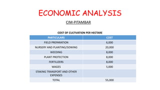 ECONOMIC ANALYSIS
CIM-PITAMBAR
PARTICULARS COST
FIELD PREPARATION 6,000
NURSERY AND PLANTING/SOWING 20,000
WEEDING 8,000
PLANT PROTECTION 8,000
FERTILIZERS 8,000
WAGES 5,000
STAKING TRANSPORT AND OTHER
EXPENSES
TOTAL 55,000
COST OF CULTIVATION PER HECTARE
 