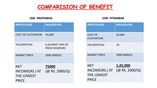 COMPARISION OF BENEFIT
PARTICULARS VALUE(IN RS)
COST OF CULTIVATION 45,000
YIELD(MT/HA) 6 (ALMOST 20% OF
FRESH RHIZOME)
MARKET PRICE 2000-4000/Q
NET
INCOME(RS.) AT
THE LOWEST
PRICE
75000
(@ RS. 2000/Q)
PARTICULARS VALUE(IN RS)
COST OF
CULTIVATION
55,000
YIELD(MT/HA) 10
MARKET PRICE 2000-4000/Q
NET
INCOME(RS.) AT
THE LOWEST
PRICE
1,45,000
(@ RS. 2000/Q)
IISR- PRATHIBHA CIM- PITAMBAR
 