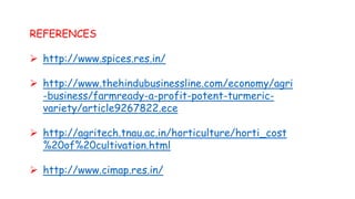 REFERENCES
 http://www.spices.res.in/
 http://www.thehindubusinessline.com/economy/agri
-business/farmready-a-profit-potent-turmeric-
variety/article9267822.ece
 http://agritech.tnau.ac.in/horticulture/horti_cost
%20of%20cultivation.html
 http://www.cimap.res.in/
 