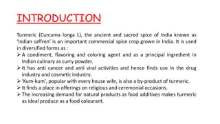 INTRODUCTION
Turmeric (Curcuma longa L), the ancient and sacred spice of India known as
‘Indian saffron’ is an important commercial spice crop grown in India. It is used
in diversified forms as :
A condiment, flavoring and coloring agent and as a principal ingredient in
Indian culinary as curry powder.
It has anti cancer and anti viral activities and hence finds use in the drug
industry and cosmetic industry.
'Kum-kum', popular with every house wife, is also a by-product of turmeric.
It finds a place in offerings on religious and ceremonial occasions.
The increasing demand for natural products as food additives makes turmeric
as ideal produce as a food colourant.
 