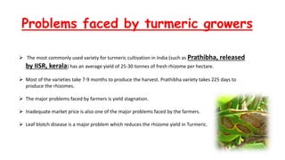 Problems faced by turmeric growers
 The most commonly used variety for turmeric cultivation in India (such as Prathibha, released
by IISR, kerala) has an average yield of 25-30 tonnes of fresh rhizome per hectare.
 Most of the varieties take 7-9 months to produce the harvest. Prathibha variety takes 225 days to
produce the rhizomes.
 The major problems faced by farmers is yield stagnation.
 Inadequate market price is also one of the major problems faced by the farmers.
 Leaf blotch disease is a major problem which reduces the rhizome yield in Turmeric.
 
