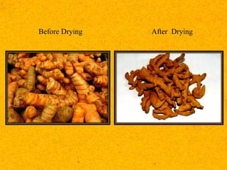 Before Drying After Drying
 