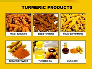 TURMERIC PRODUCTS
 
