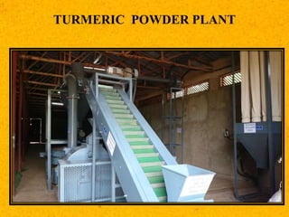 TURMERIC POWDER PLANT
 