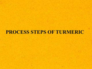 PROCESS STEPS OF TURMERIC
 