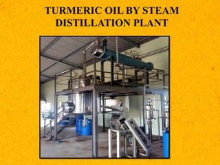 TURMERIC OIL BY STEAM
DISTILLATION PLANT
 