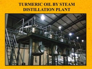 TURMERIC OIL BY STEAM
DISTILLATION PLANT
 