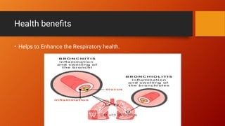 Health beneﬁts
• Helps to Enhance the Respiratory health.
 