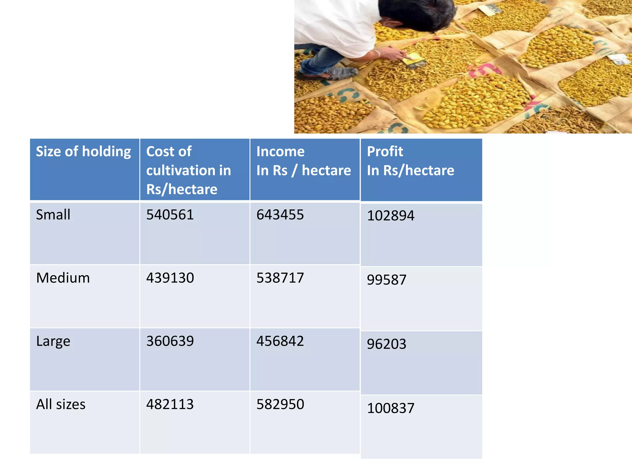Size of holding Cost of
cultivation in
Rs/hectare
Income
In Rs / hectare
Small 540561 643455
Medium 439130 538717
Large 360639 456842
All sizes 482113 582950
Profit
In Rs/hectare
102894
99587
96203
100837
 