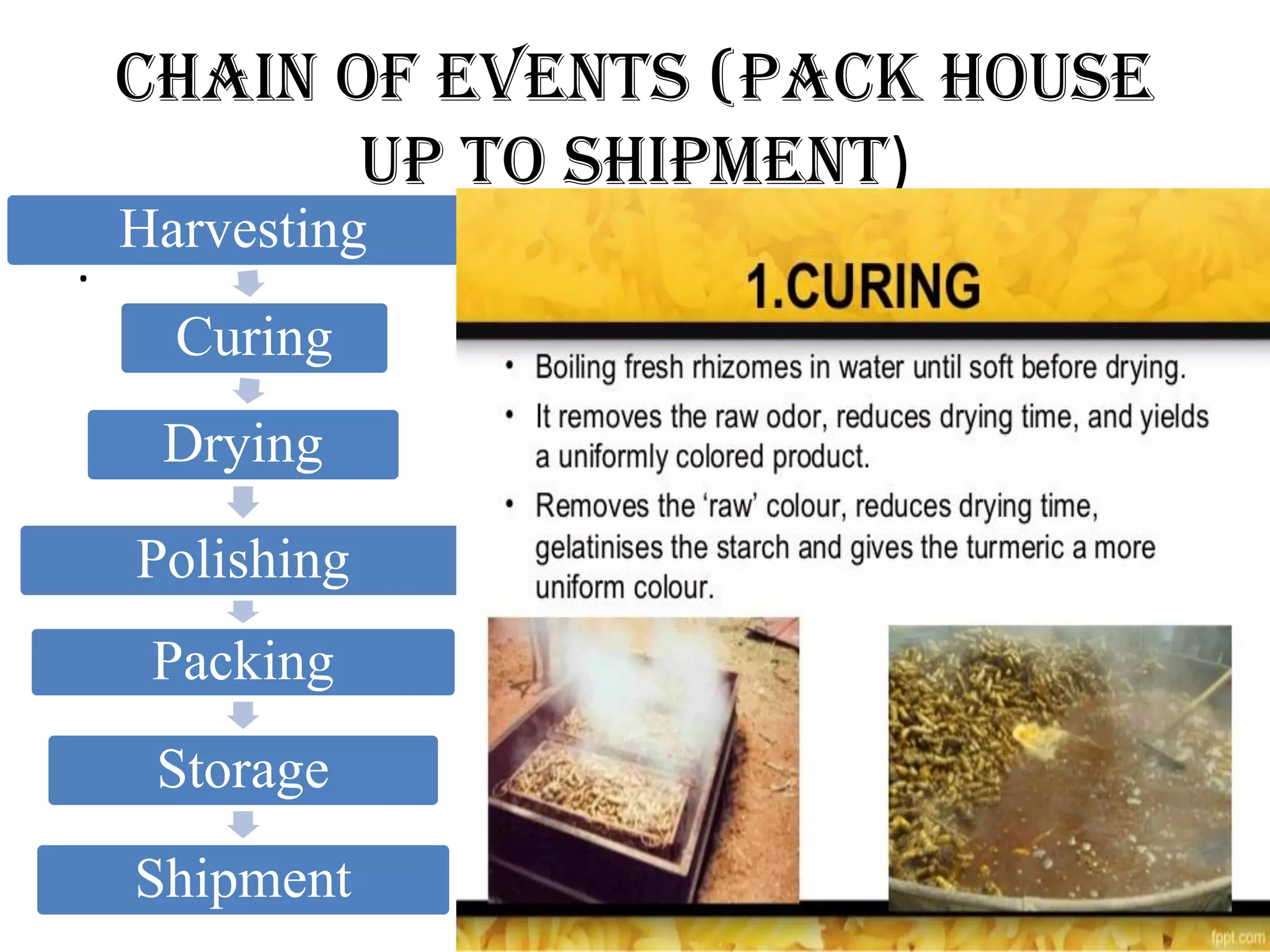 Chain of events (pack house
up to shipment)
.
Harvesting
Curing
Drying
Polishing
Packing
Storage
Shipment
 