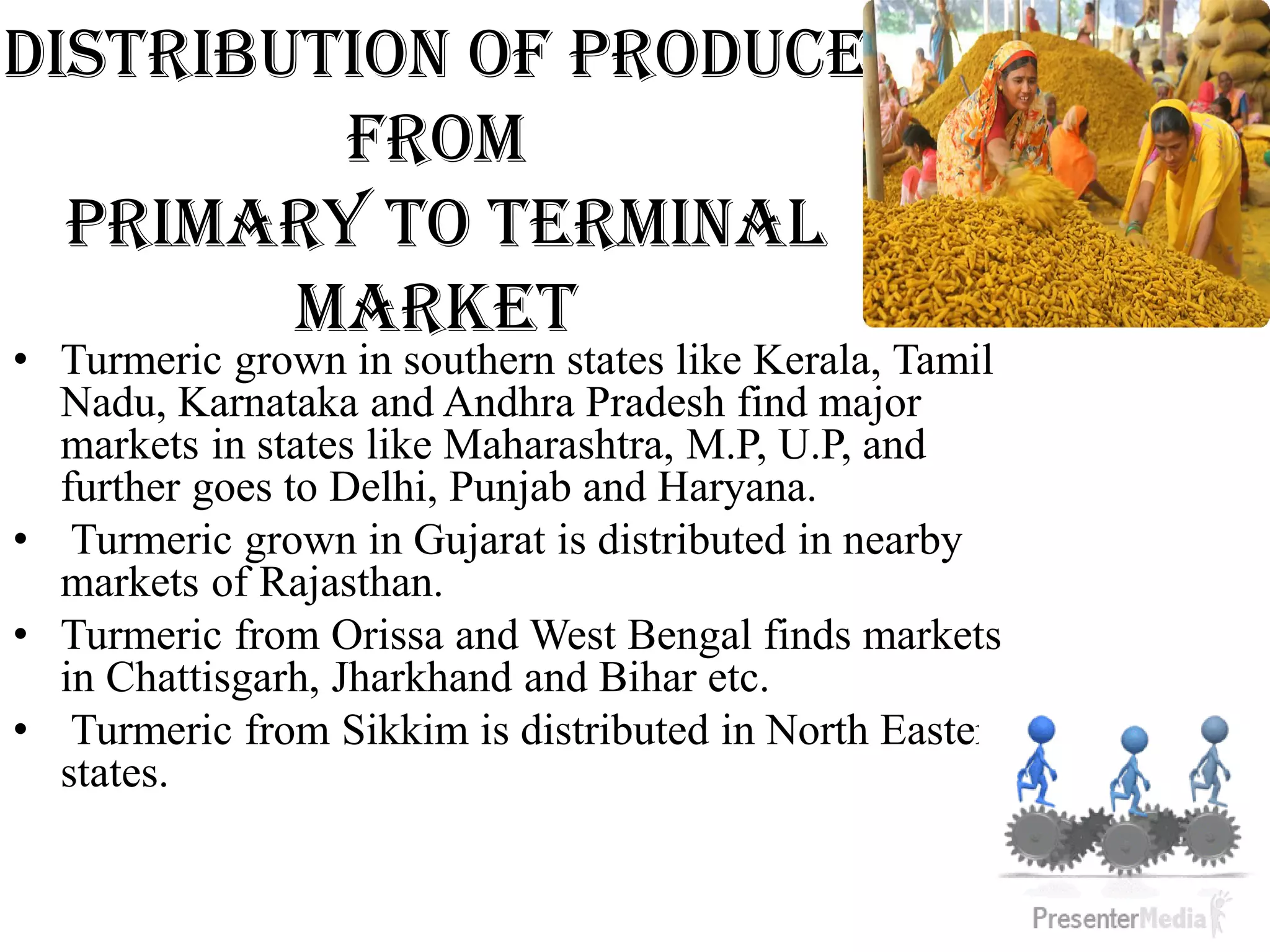 Distribution of produce
from
primary to terminal
market
• Turmeric grown in southern states like Kerala, Tamil
Nadu, Karnataka and Andhra Pradesh find major
markets in states like Maharashtra, M.P, U.P, and
further goes to Delhi, Punjab and Haryana.
• Turmeric grown in Gujarat is distributed in nearby
markets of Rajasthan.
• Turmeric from Orissa and West Bengal finds markets
in Chattisgarh, Jharkhand and Bihar etc.
• Turmeric from Sikkim is distributed in North Eastern
states.
 