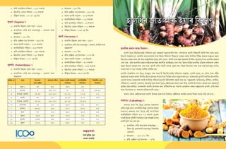 Types of Turmeric Varieties Grown in Assam
