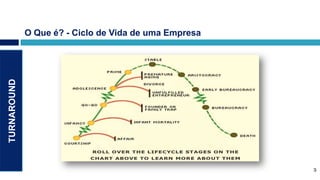 O Que é? - Ciclo de Vida de uma Empresa
TURNAROUND




                                                           3
                                                       3
 