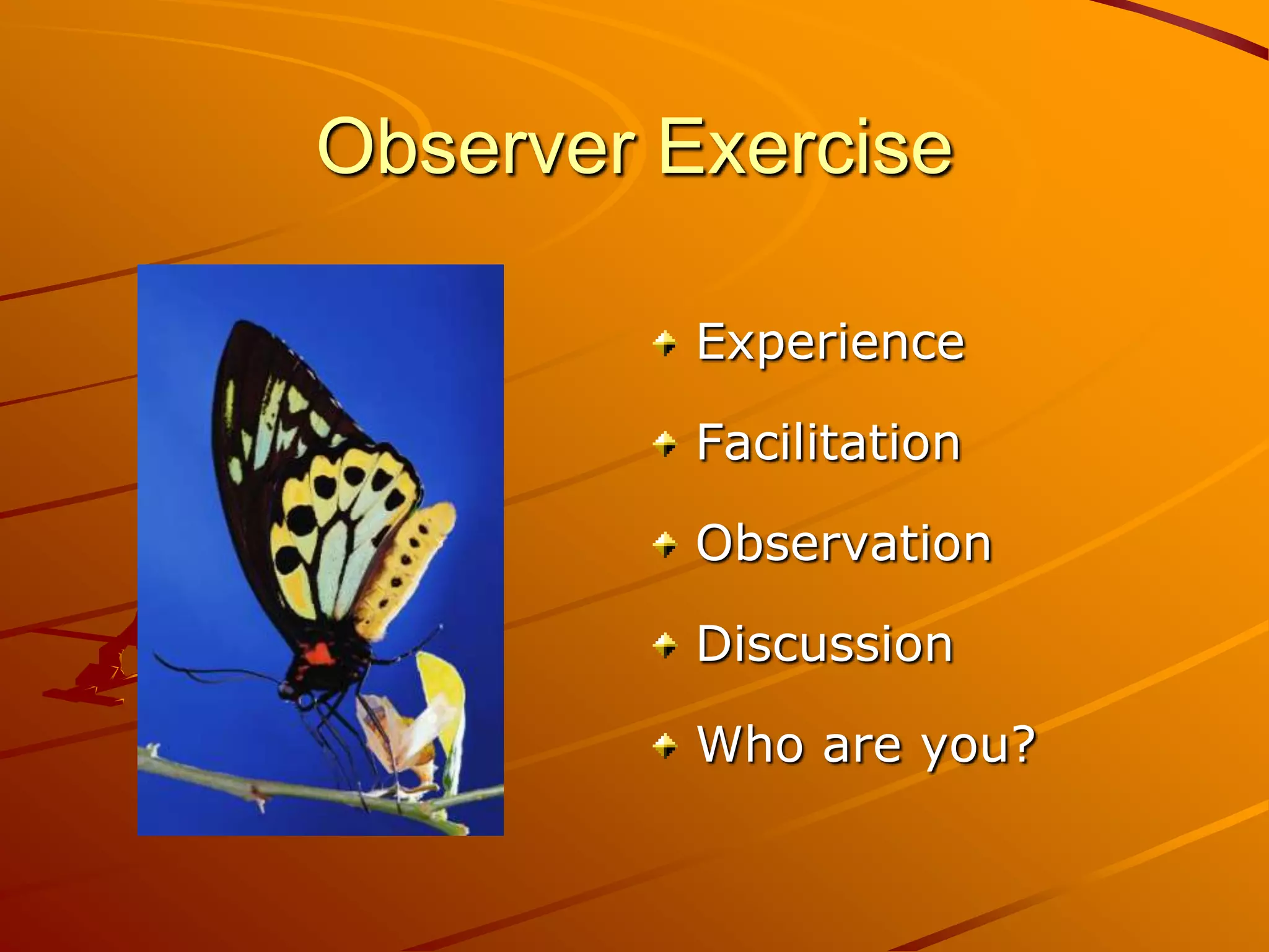 Observer Exercise

          Experience

          Facilitation

          Observation

          Discussion

          Who are you?
 