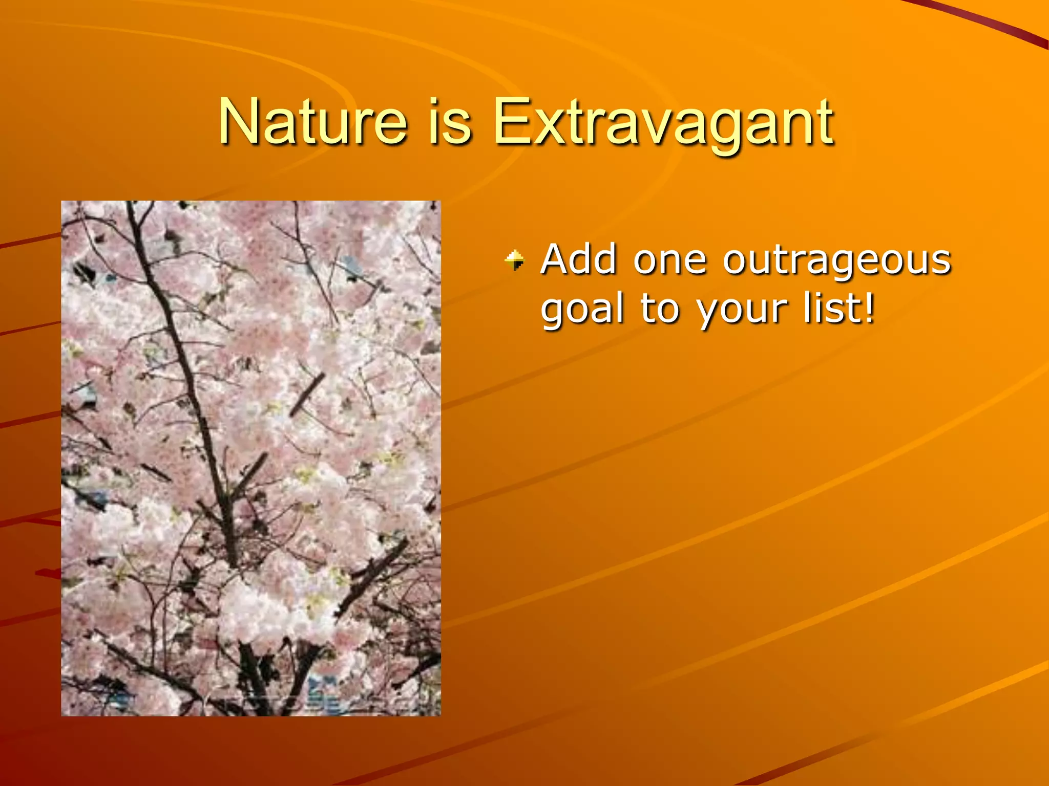 Nature is Extravagant

           Add one outrageous
           goal to your list!
 