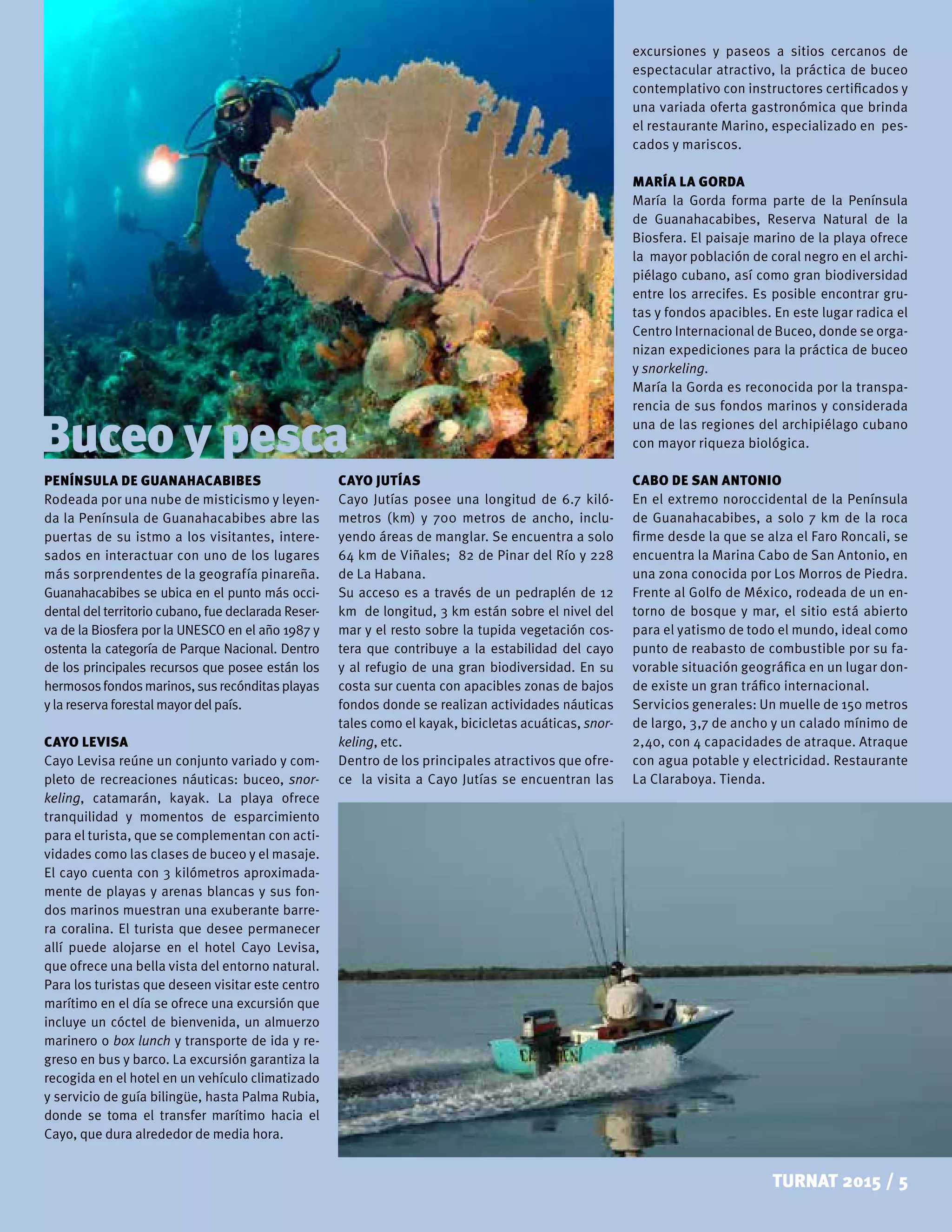 TURNAT 2015 / 5
Buceo y pesca
PENÍNSULA DE GUANAHACABIBES
Rodeada por una nube de misticismo y leyen-
da la Península de Guanahacabibes abre las
puertas de su istmo a los visitantes, intere-
sados en interactuar con uno de los lugares
más sorprendentes de la geografía pinareña.
Guanahacabibes se ubica en el punto más occi-
dental del territorio cubano, fue declarada Reser-
va de la Biosfera por la UNESCO en el año 1987 y
ostenta la categoría de Parque Nacional. Dentro
de los principales recursos que posee están los
hermososfondosmarinos,susrecónditasplayas
ylareservaforestalmayordel país.
CAYO LEVISA
Cayo Levisa reúne un conjunto variado y com-
pleto de recreaciones náuticas: buceo, snor-
keling, catamarán, kayak. La playa ofrece
tranquilidad y momentos de esparcimiento
para el turista, que se complementan con acti-
vidades como las clases de buceo y el masaje.
El cayo cuenta con 3 kilómetros aproximada-
mente de playas y arenas blancas y sus fon-
dos marinos muestran una exuberante barre-
ra coralina. El turista que desee permanecer
allí puede alojarse en el hotel Cayo Levisa,
que ofrece una bella vista del entorno natural.
Para los turistas que deseen visitar este centro
marítimo en el día se ofrece una excursión que
incluye un cóctel de bienvenida, un almuerzo
marinero o box lunch y transporte de ida y re-
greso en bus y barco. La excursión garantiza la
recogida en el hotel en un vehículo climatizado
y servicio de guía bilingüe, hasta Palma Rubia,
donde se toma el transfer marítimo hacia el
Cayo, que dura alrededor de media hora.
CAYO JUTÍAS
Cayo Jutías posee una longitud de 6.7 kiló-
metros (km) y 700 metros de ancho, inclu-
yendo áreas de manglar. Se encuentra a solo
64 km de Viñales; 82 de Pinar del Río y 228
de La Habana.
Su acceso es a través de un pedraplén de 12
km de longitud, 3 km están sobre el nivel del
mar y el resto sobre la tupida vegetación cos-
tera que contribuye a la estabilidad del cayo
y al refugio de una gran biodiversidad. En su
costa sur cuenta con apacibles zonas de bajos
fondos donde se realizan actividades náuticas
tales como el kayak, bicicletas acuáticas, snor-
keling, etc.
Dentro de los principales atractivos que ofre-
ce la visita a Cayo Jutías se encuentran las
excursiones y paseos a sitios cercanos de
espectacular atractivo, la práctica de buceo
contemplativo con instructores certificados y
una variada oferta gastronómica que brinda
el restaurante Marino, especializado en pes-
cados y mariscos.
MARÍA LA GORDA
María la Gorda forma parte de la Península
de Guanahacabibes, Reserva Natural de la
Biosfera. El paisaje marino de la playa ofrece
la mayor población de coral negro en el archi-
piélago cubano, así como gran biodiversidad
entre los arrecifes. Es posible encontrar gru-
tas y fondos apacibles. En este lugar radica el
Centro Internacional de Buceo, donde se orga-
nizan expediciones para la práctica de buceo
y snorkeling.
María la Gorda es reconocida por la transpa-
rencia de sus fondos marinos y considerada
una de las regiones del archipiélago cubano
con mayor riqueza biológica.
CABO DE SAN ANTONIO
En el extremo noroccidental de la Península
de Guanahacabibes, a solo 7 km de la roca
firme desde la que se alza el Faro Roncali, se
encuentra la Marina Cabo de San Antonio, en
una zona conocida por Los Morros de Piedra.
Frente al Golfo de México, rodeada de un en-
torno de bosque y mar, el sitio está abierto
para el yatismo de todo el mundo, ideal como
punto de reabasto de combustible por su fa-
vorable situación geográfica en un lugar don-
de existe un gran tráfico internacional.
Servicios generales: Un muelle de 150 metros
de largo, 3,7 de ancho y un calado mínimo de
2,40, con 4 capacidades de atraque. Atraque
con agua potable y electricidad. Restaurante
La Claraboya. Tienda.
 